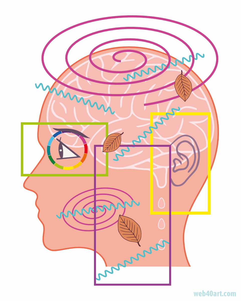Kopf-Auge-Ohr-Single - Kunstwerk