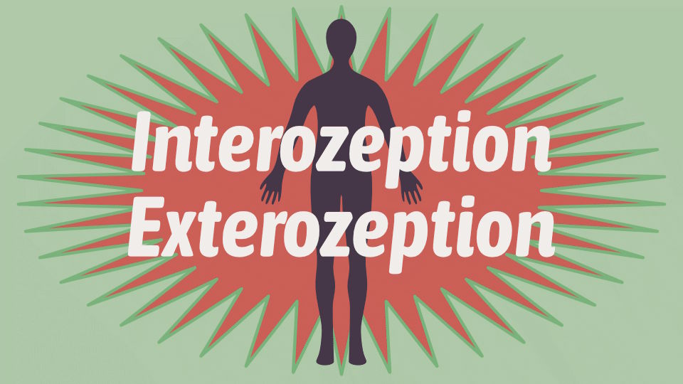 Symbolbild mit Zeichnung einer Silhouette eines menschlichen Körpers, im Hintergrund ein einfach gezeichneter Stern mit vielen Spitzen, im Vordergrund der Schriftzug Interozeption - Exterozeption