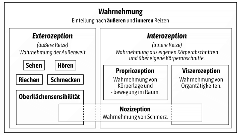 Tabelle mit den einzelnen Bereichen und Unterbereichen von Interozeption und Exterozeption als Bild und dem überschneidenden Bereich der Nozizeption