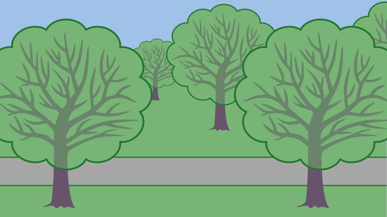Manuell erstellte Ausgangsgrafik eines Parkentwurfs
